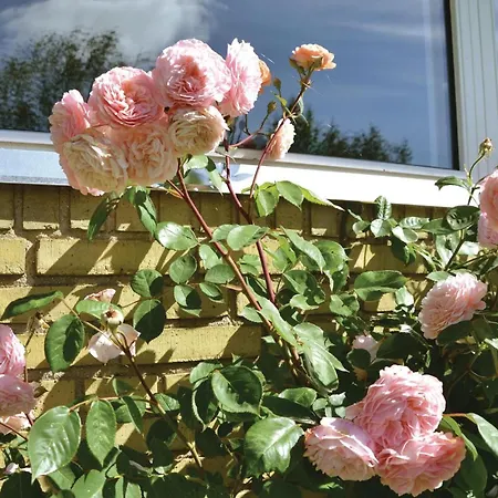 Three-bedroom In Hyllinge * Kirke-Hyllinge